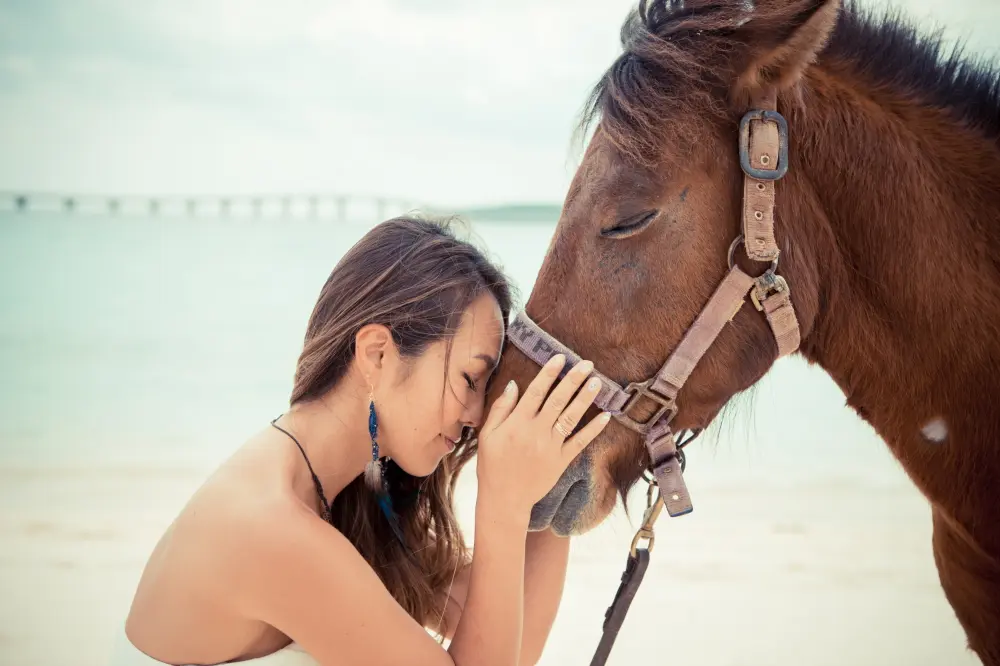 女性と馬